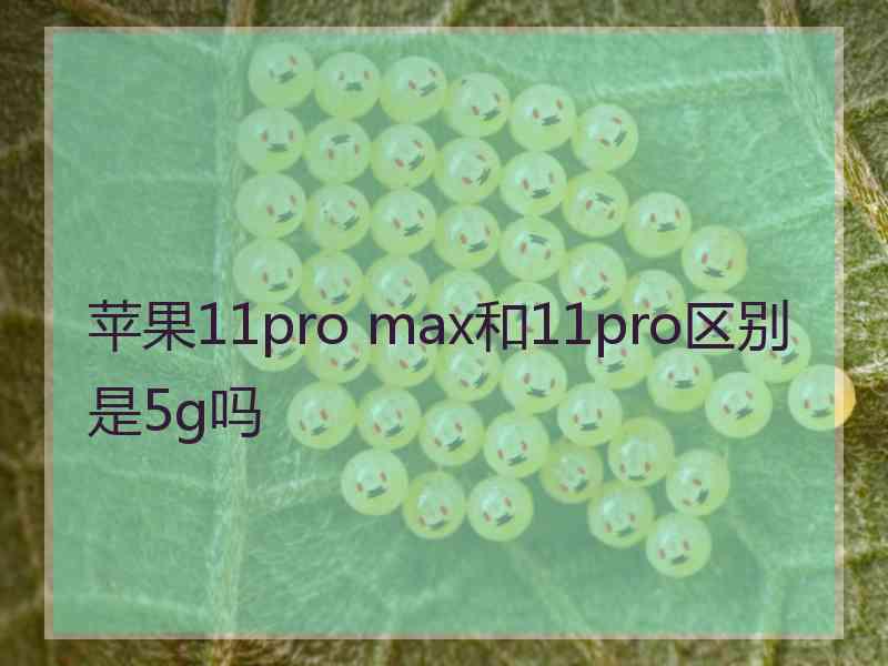 苹果11pro max和11pro区别是5g吗