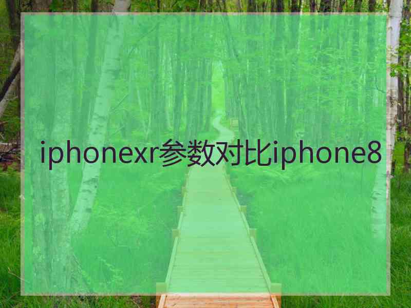 iphonexr参数对比iphone8