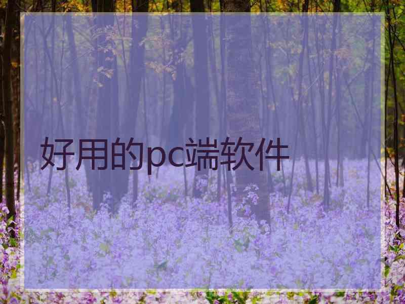 好用的pc端软件