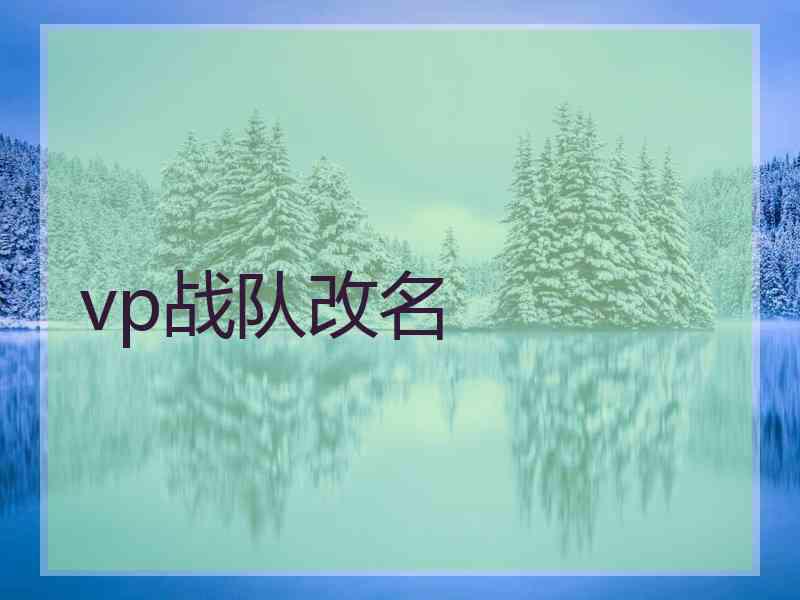 vp战队改名