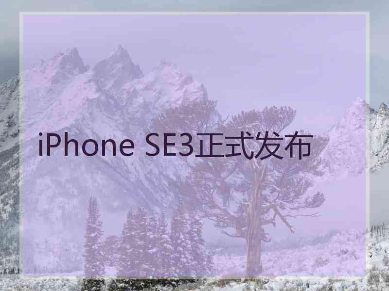 iPhone SE3正式发布