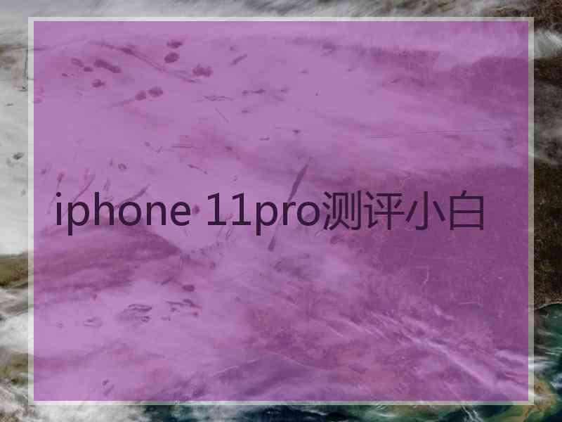 iphone 11pro测评小白