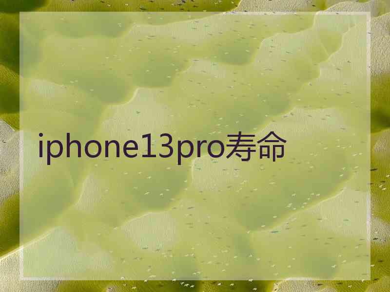 iphone13pro寿命