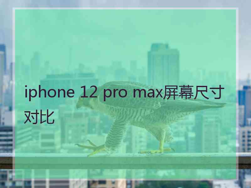 iphone 12 pro max屏幕尺寸对比