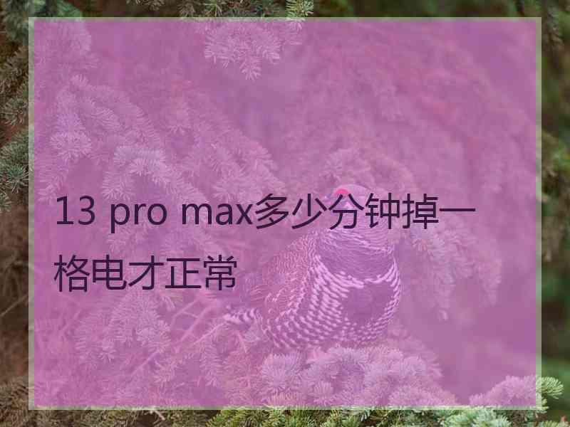 13 pro max多少分钟掉一格电才正常