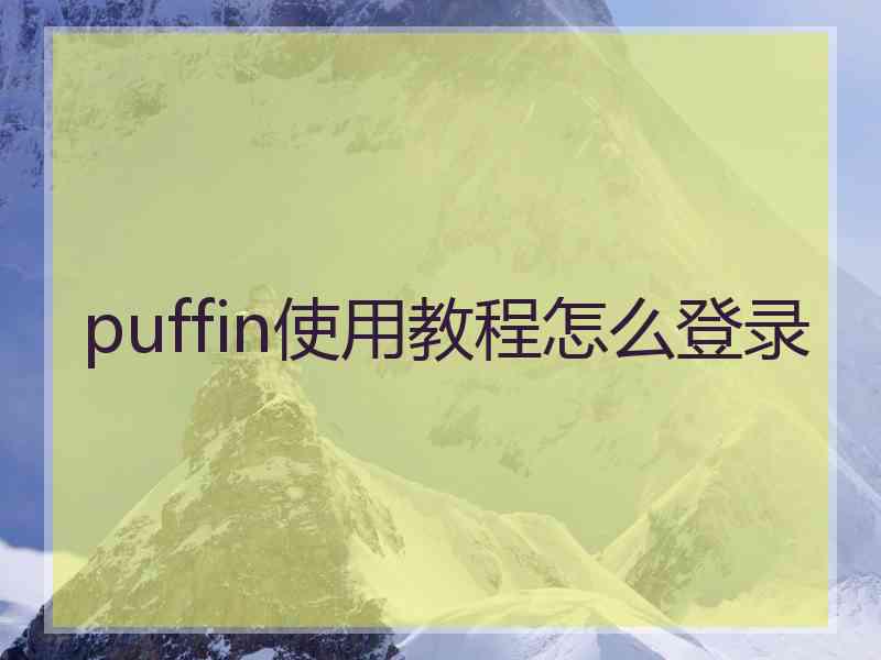 puffin使用教程怎么登录