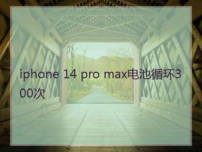 iphone 14 pro max电池循环300次