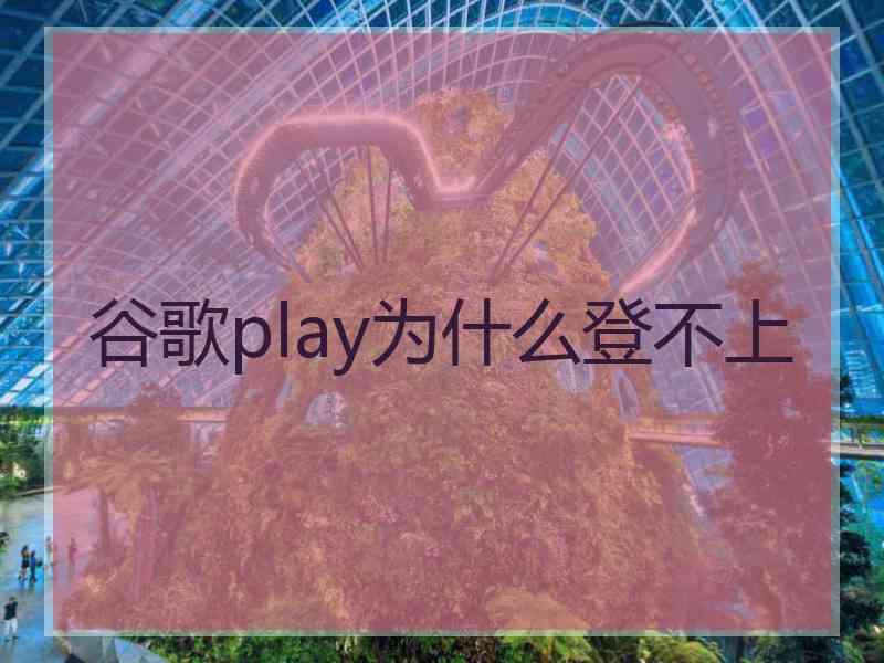 谷歌play为什么登不上