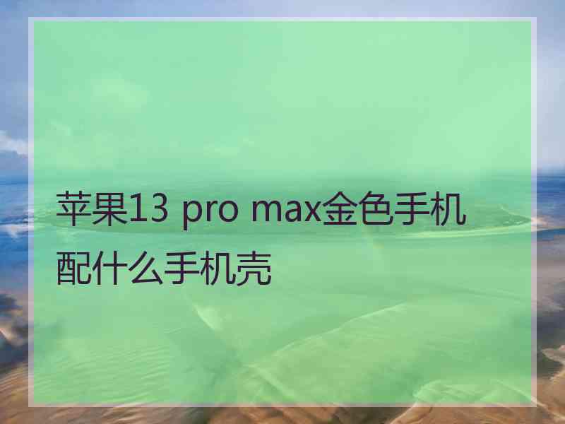 苹果13 pro max金色手机配什么手机壳