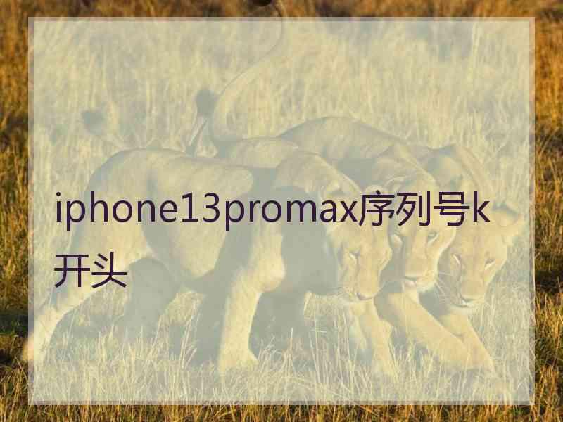 iphone13promax序列号k开头