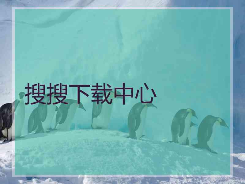 搜搜下载中心