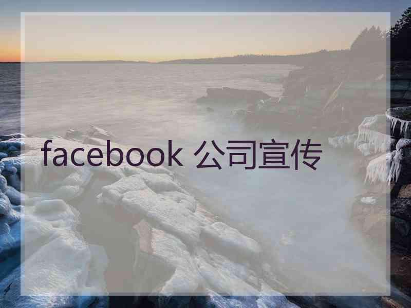 facebook 公司宣传