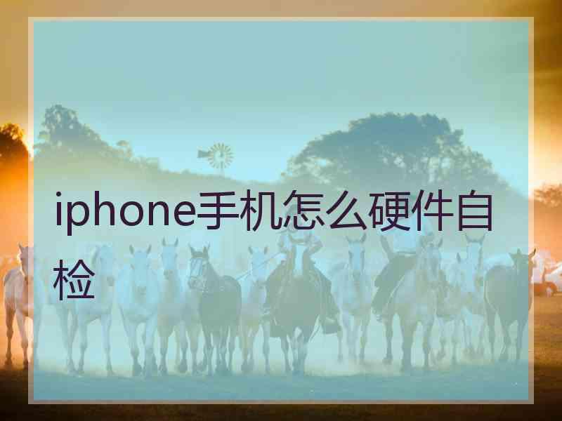 iphone手机怎么硬件自检