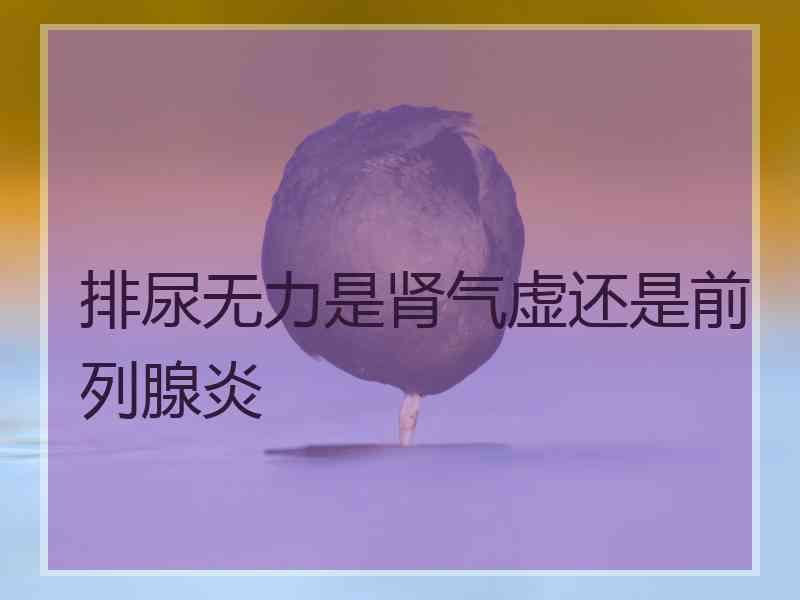 排尿无力是肾气虚还是前列腺炎