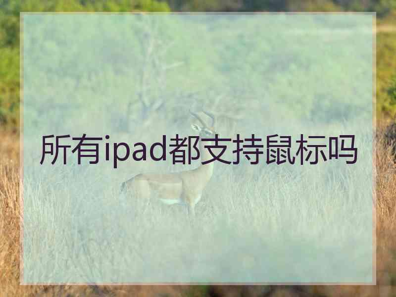 所有ipad都支持鼠标吗