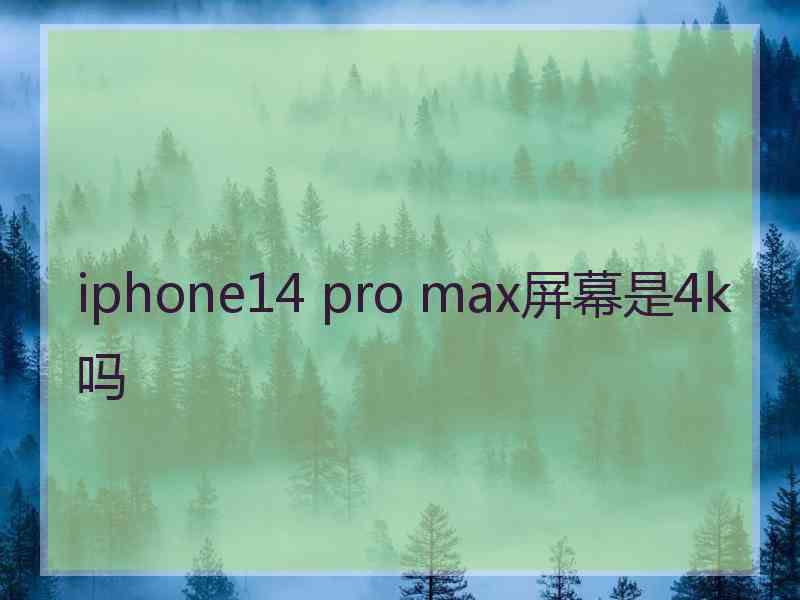 iphone14 pro max屏幕是4k吗