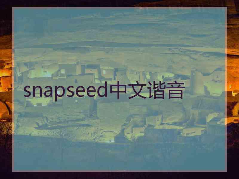 snapseed中文谐音