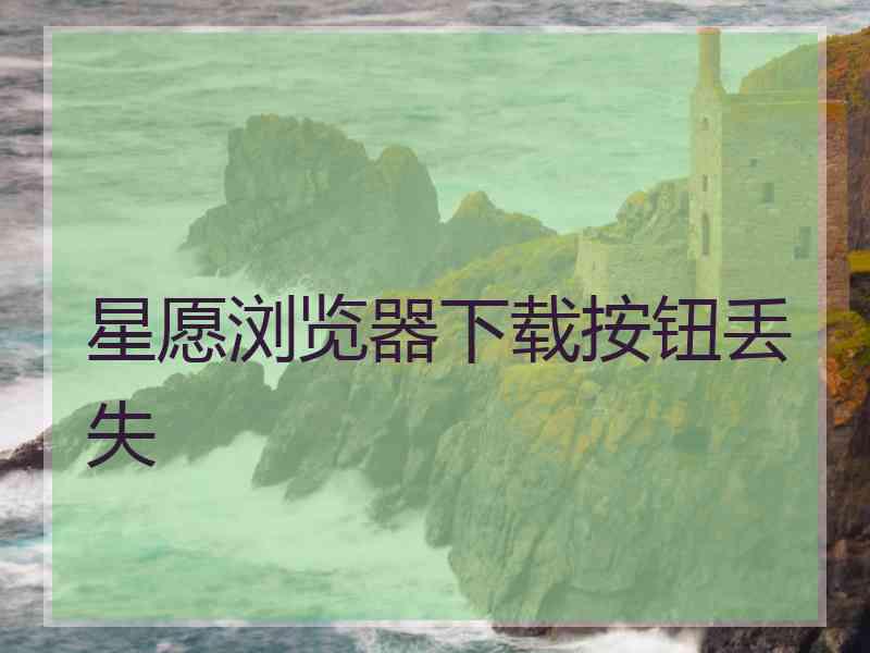 星愿浏览器下载按钮丢失