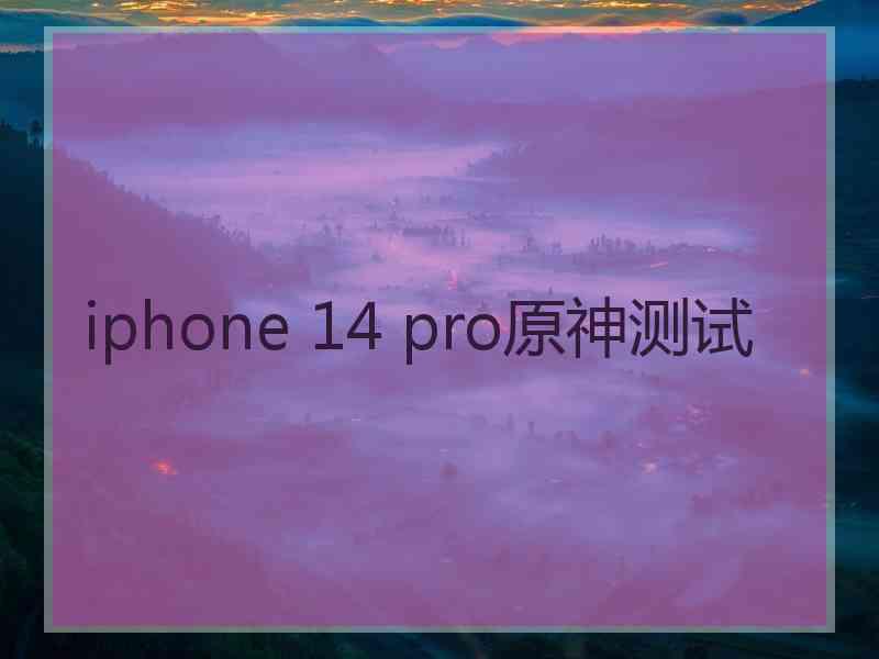 iphone 14 pro原神测试