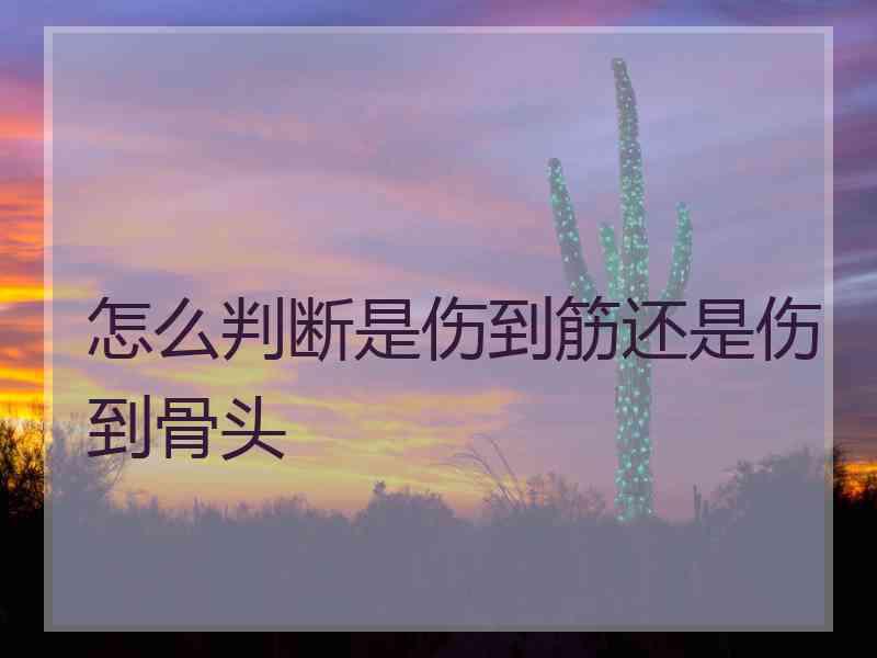 怎么判断是伤到筋还是伤到骨头