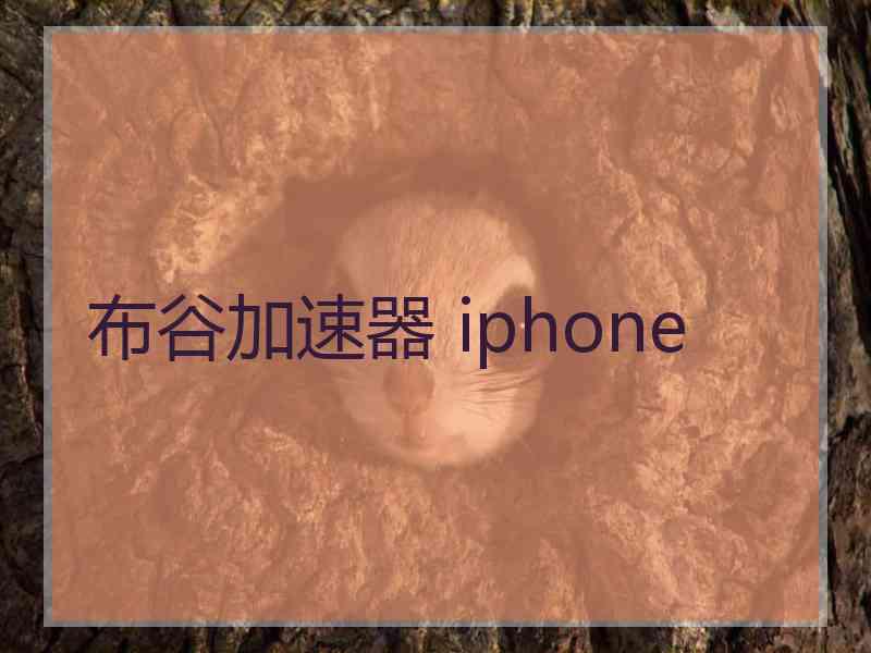 布谷加速器 iphone