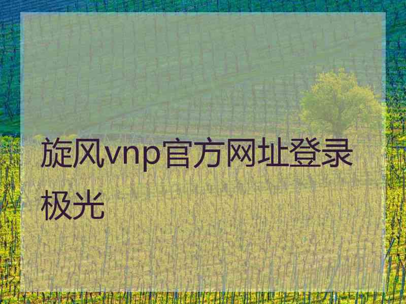 旋风vnp官方网址登录极光