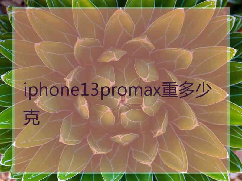 iphone13promax重多少克