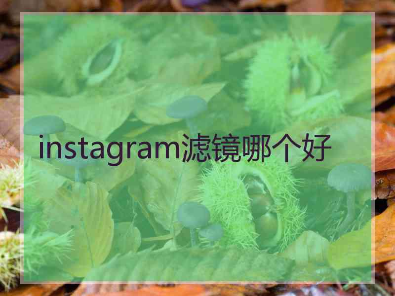 instagram滤镜哪个好