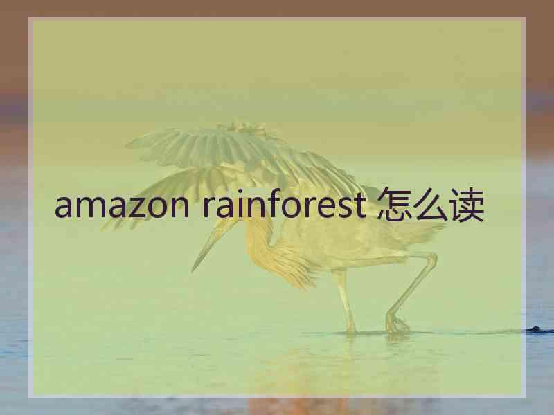 amazon rainforest 怎么读