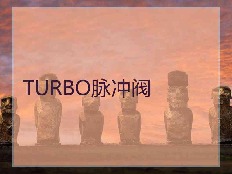 TURBO脉冲阀