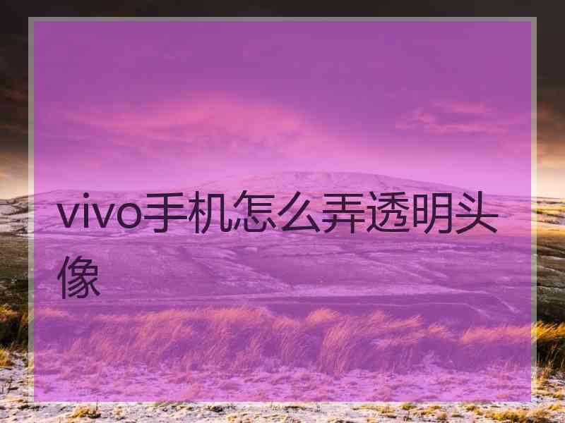 vivo手机怎么弄透明头像