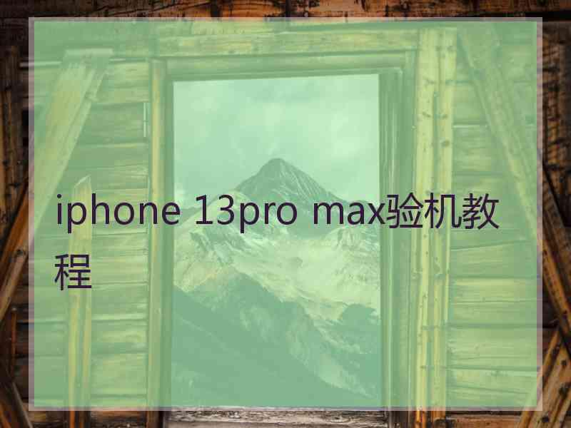 iphone 13pro max验机教程