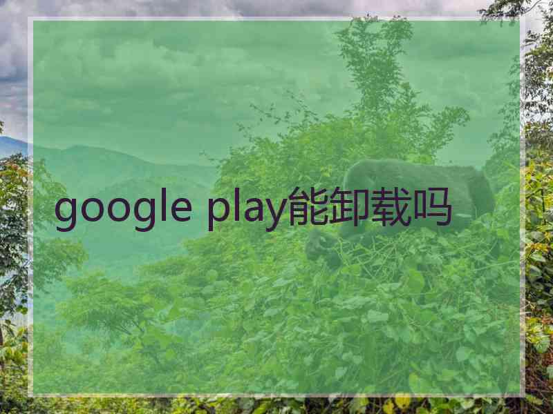 google play能卸载吗