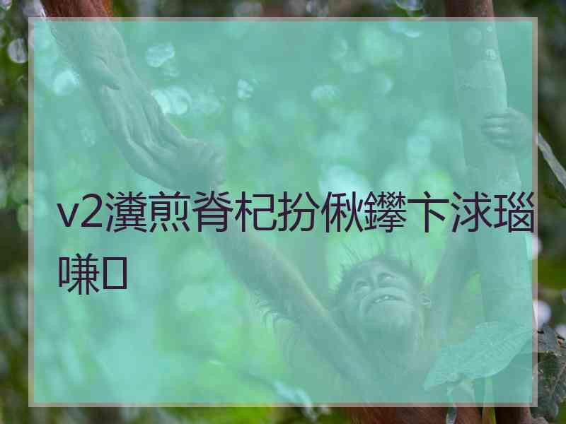 v2瀵煎脊杞扮偢鑻卞浗瑙嗛