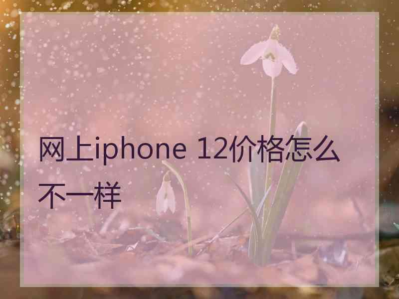 网上iphone 12价格怎么不一样