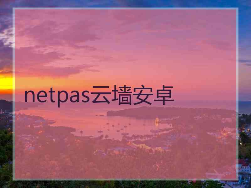 netpas云墙安卓