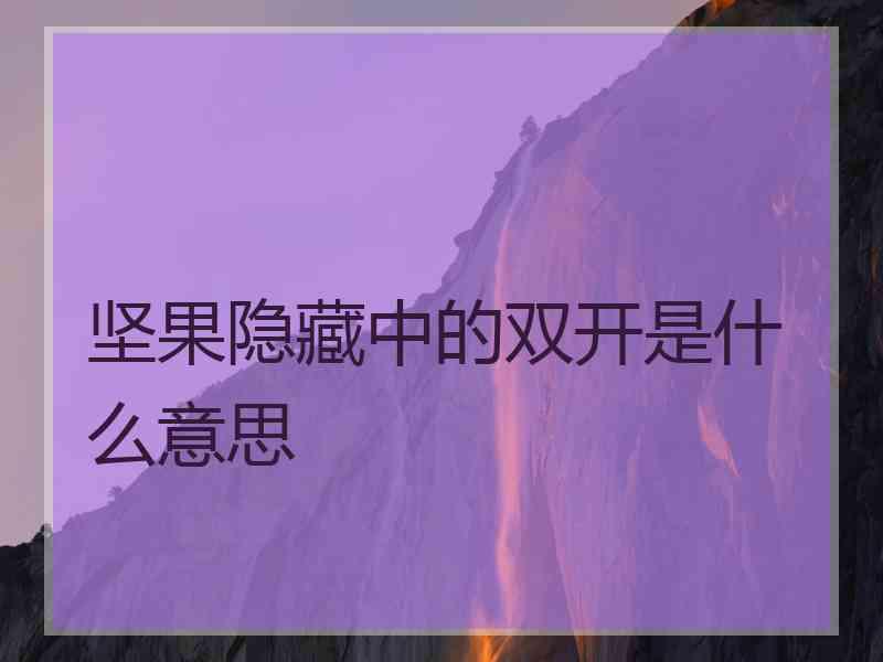 坚果隐藏中的双开是什么意思