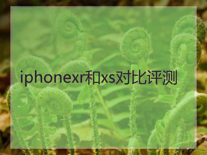 iphonexr和xs对比评测