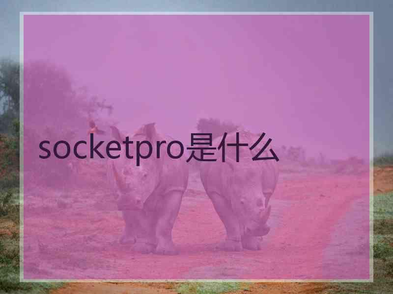 socketpro是什么