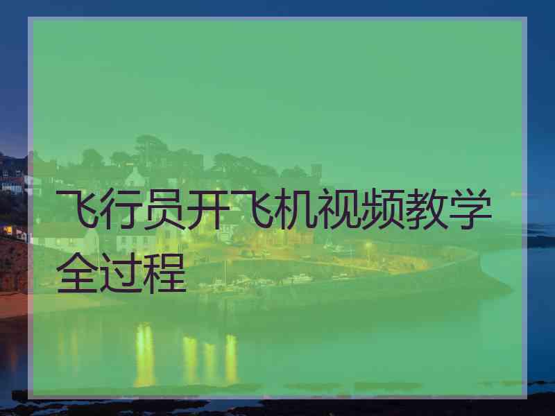 飞行员开飞机视频教学全过程