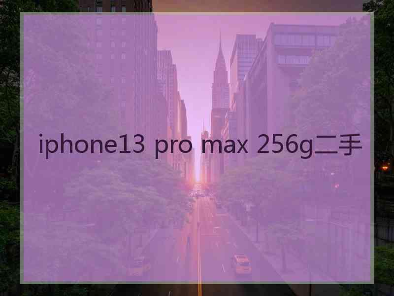 iphone13 pro max 256g二手