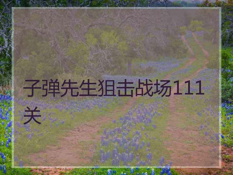 子弹先生狙击战场111关