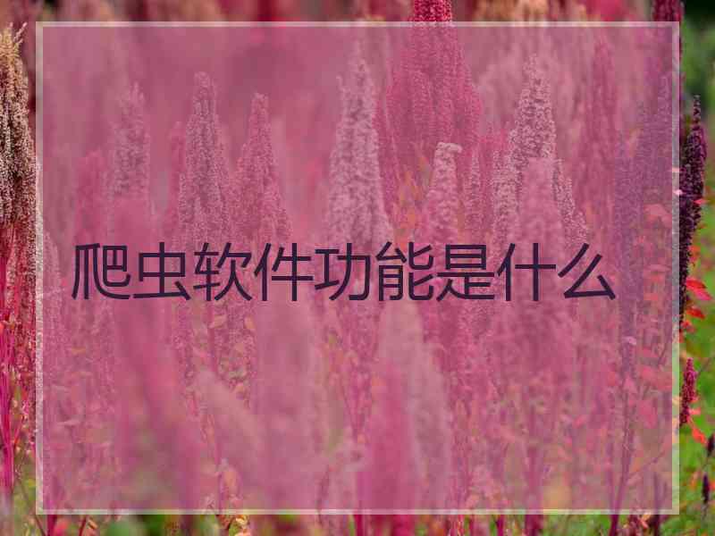 爬虫软件功能是什么