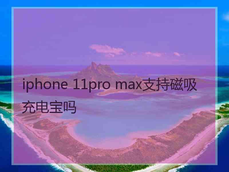 iphone 11pro max支持磁吸充电宝吗