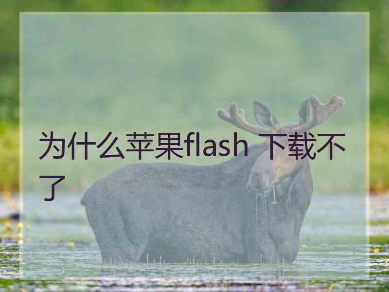 为什么苹果flash 下载不了