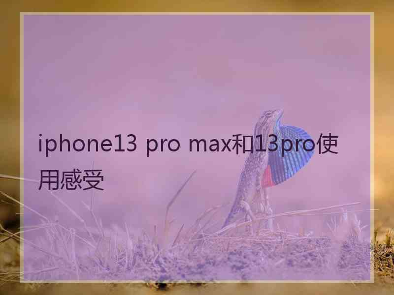 iphone13 pro max和13pro使用感受