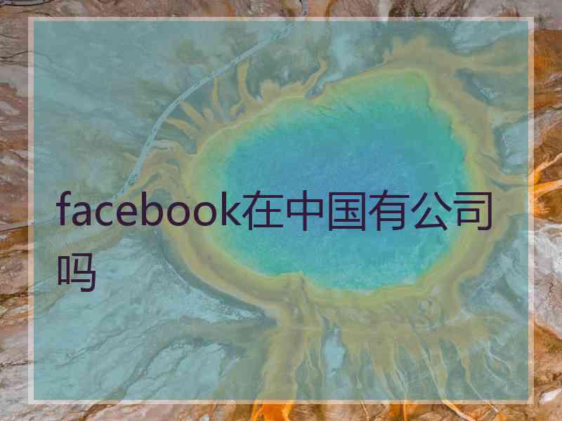 facebook在中国有公司吗