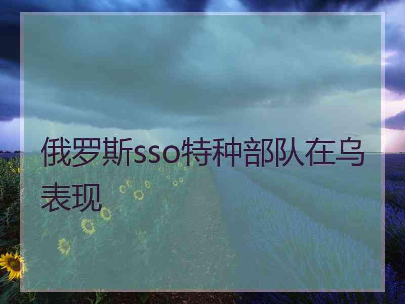 俄罗斯sso特种部队在乌表现