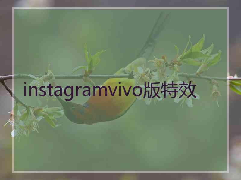 instagramvivo版特效