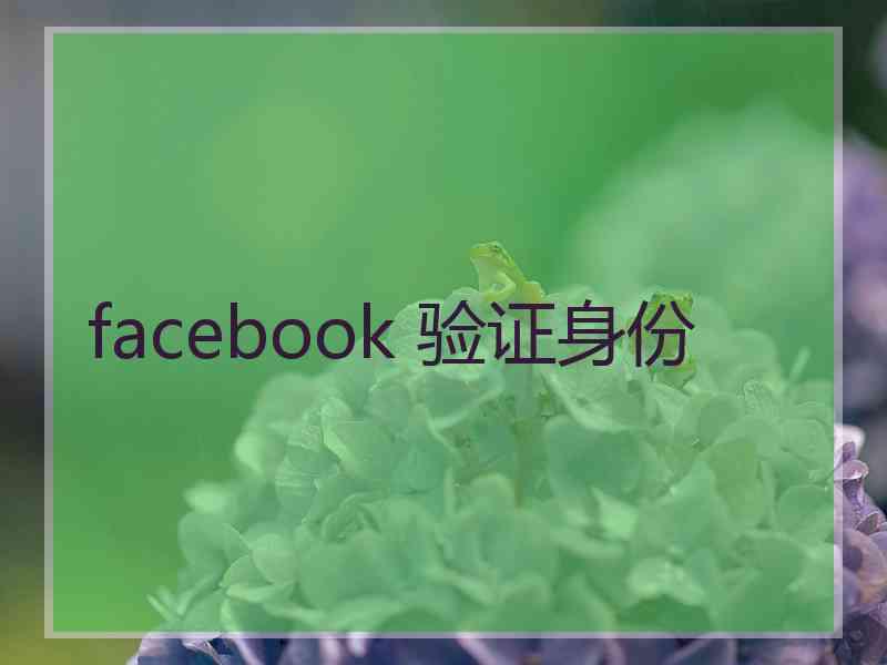 facebook 验证身份